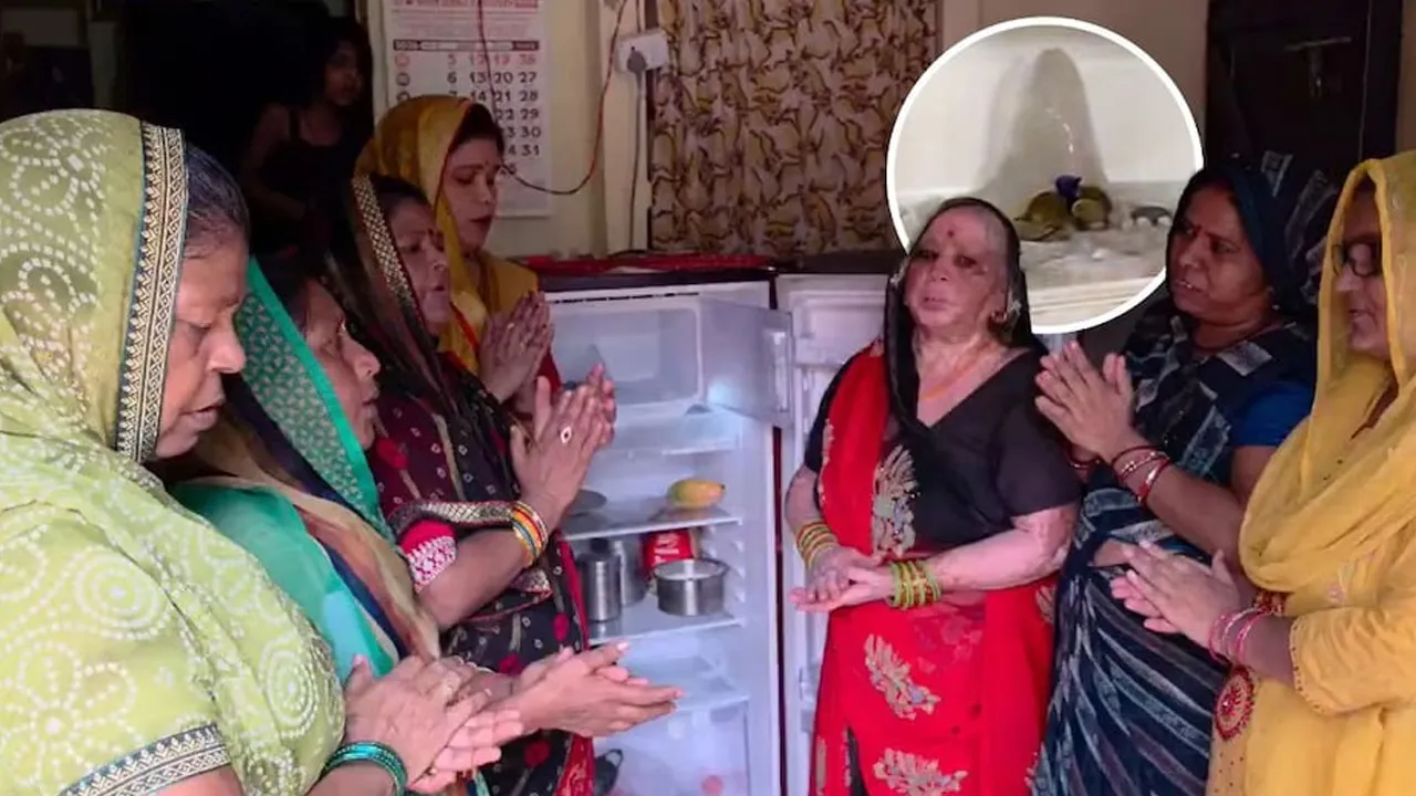 fridge-shivling 