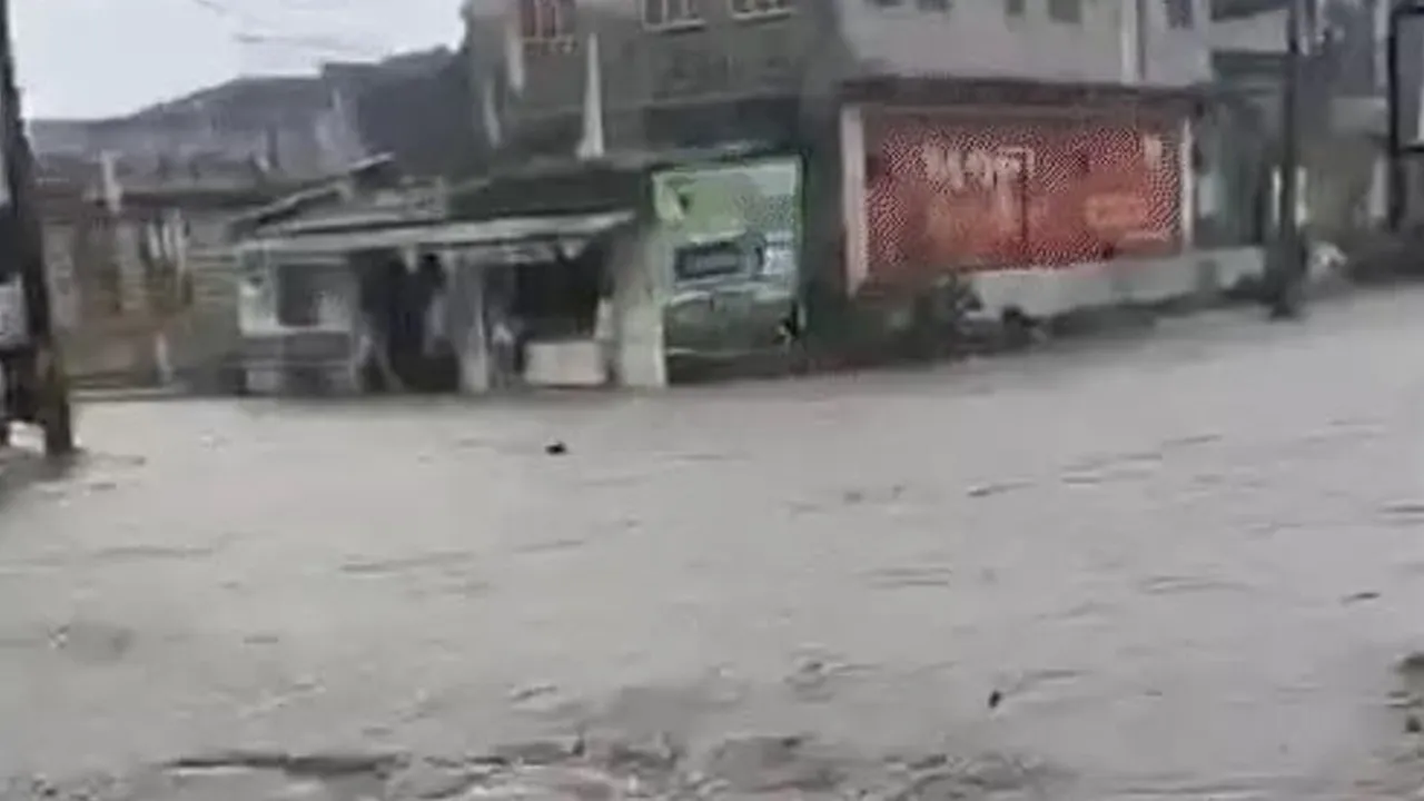 rain 
