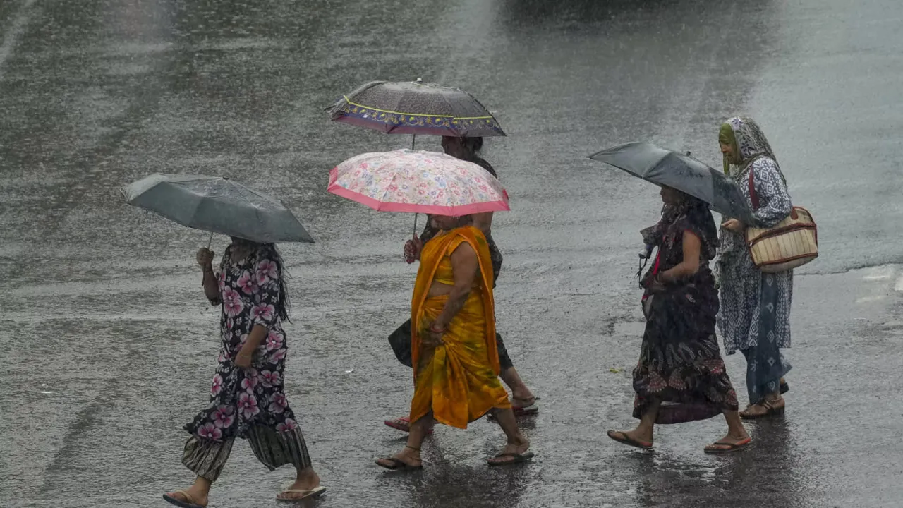 rain 