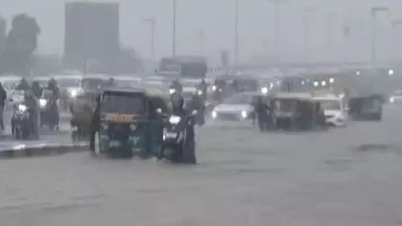 rain 