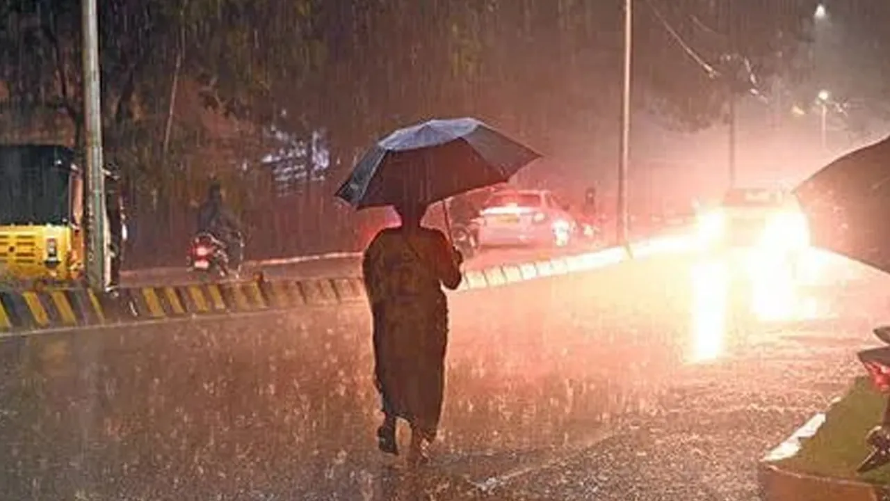 rain 