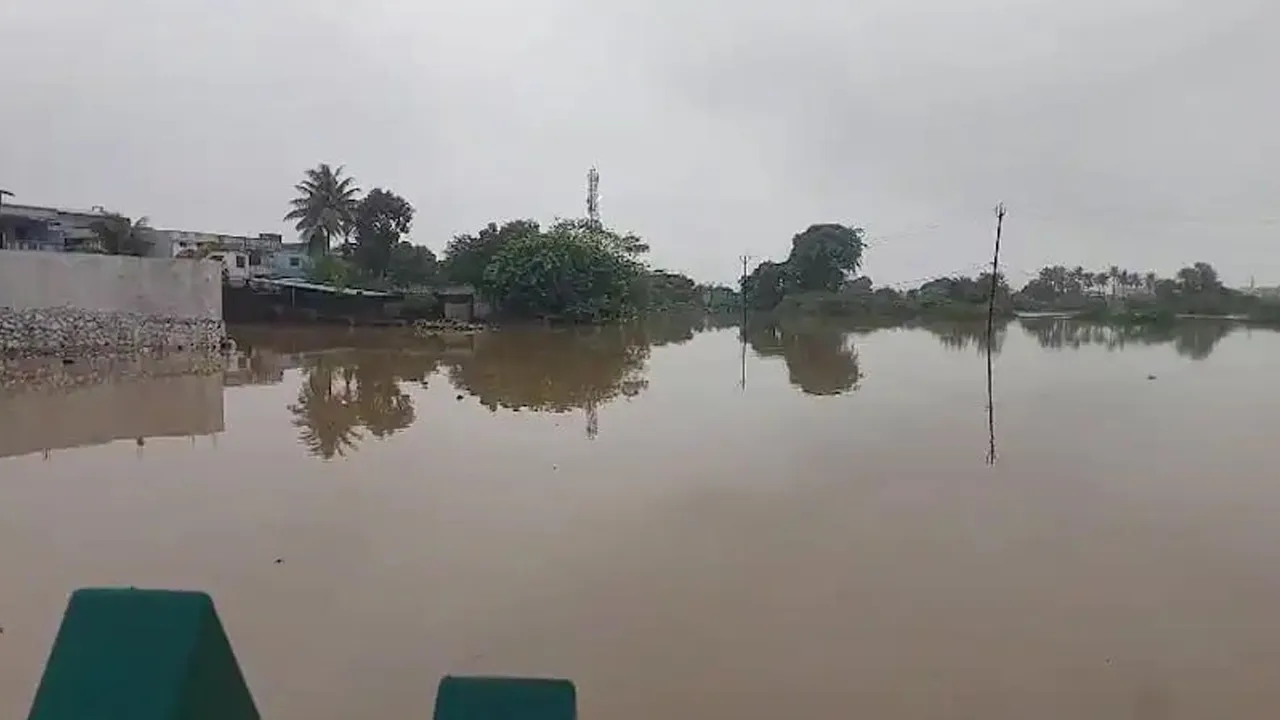 surat-rain5 