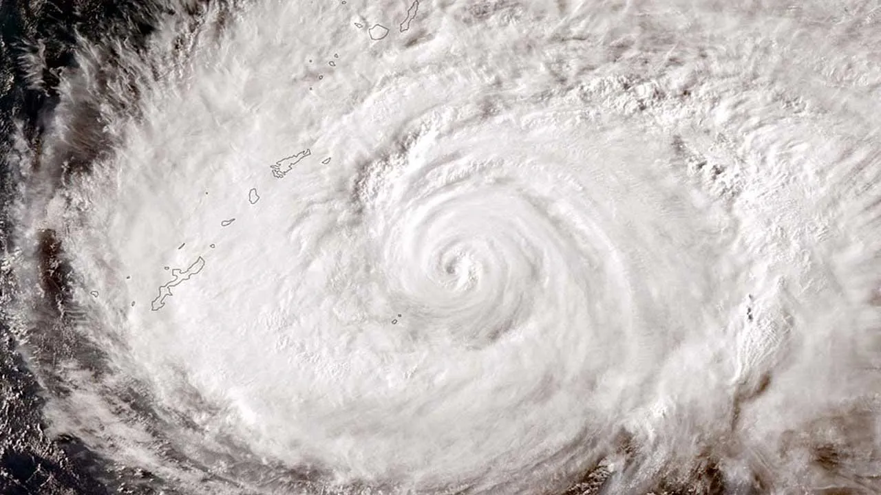 Pacific Typhoons Dolphin