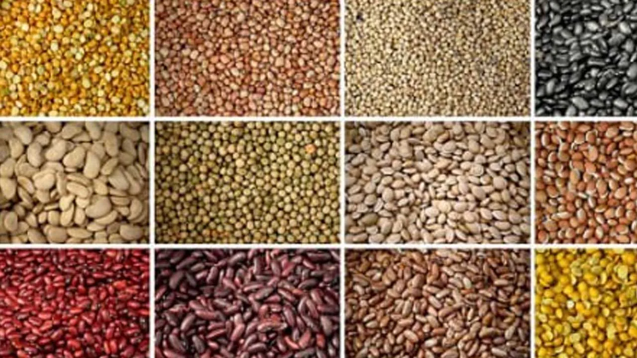 Food Inflation
