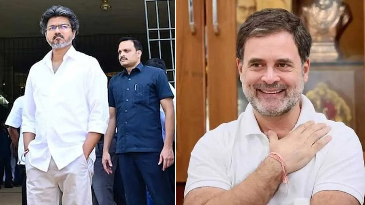2029મા PM તરીકે વિપક્ષમાંથી કોણ? રાહુલ ગાંધી કે થલાપતિ વિજય... કોંગ્રેસ અને TVK નેતાઓ બાખડ્યા