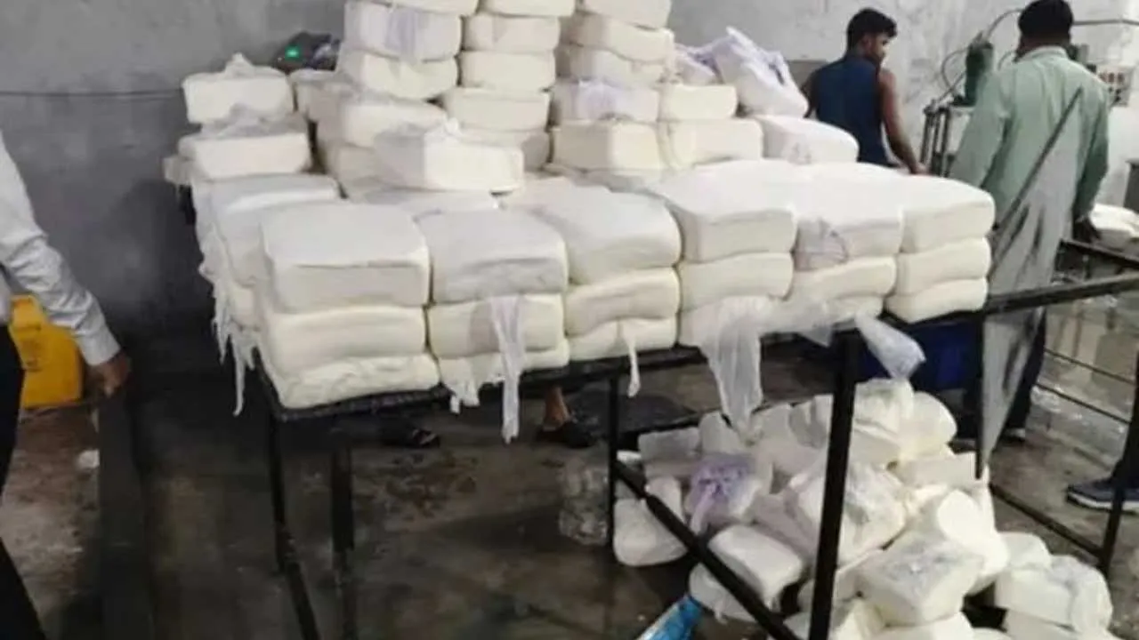Hapur-Adulterated Paneer