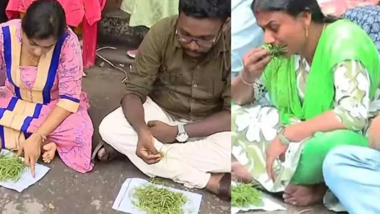 Teacher-Eat Grass