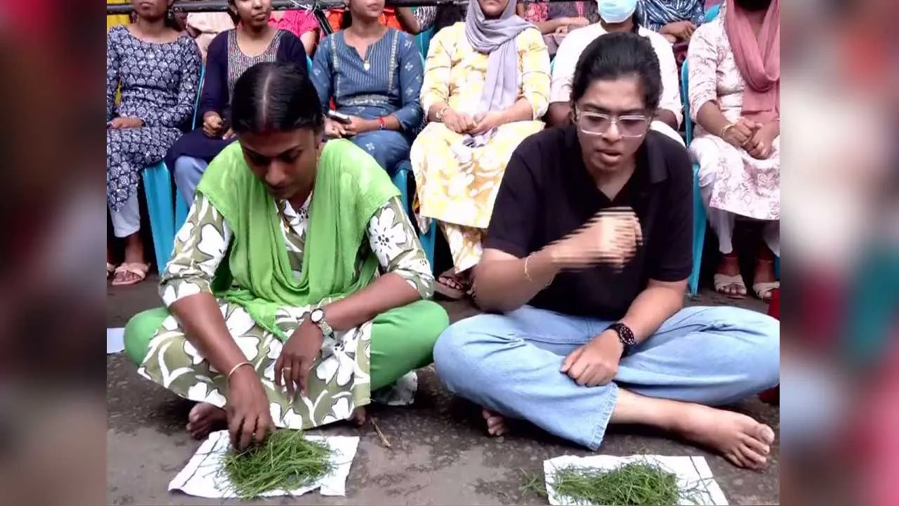 Teacher-Eat Grass