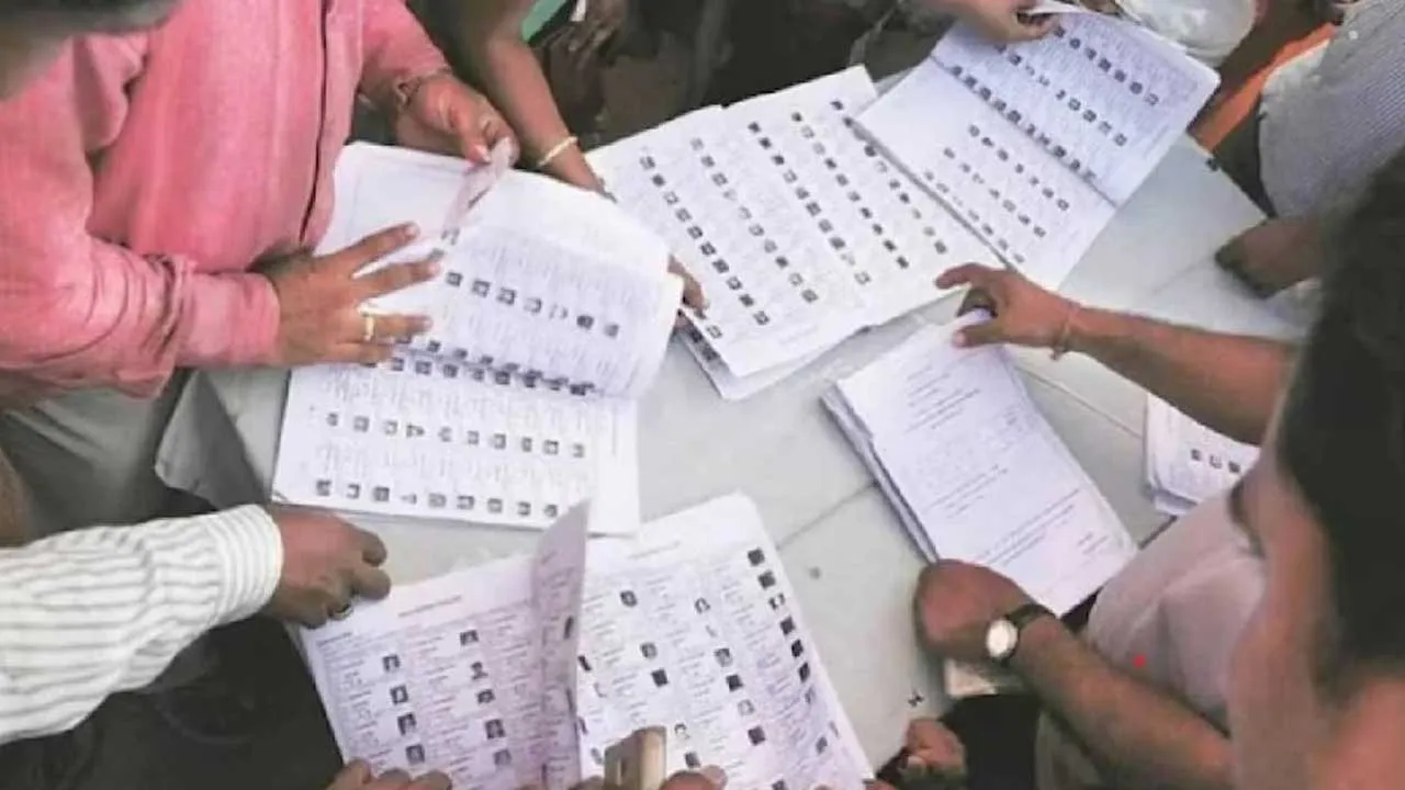 Delhi Electors