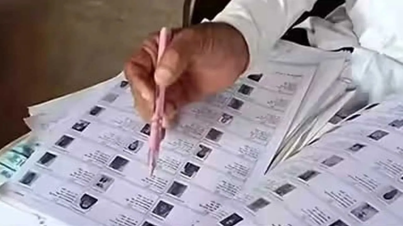 Delhi Electors