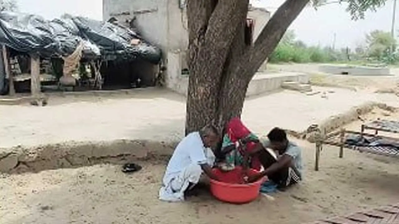 Farmer-5-lakh-Termites1 