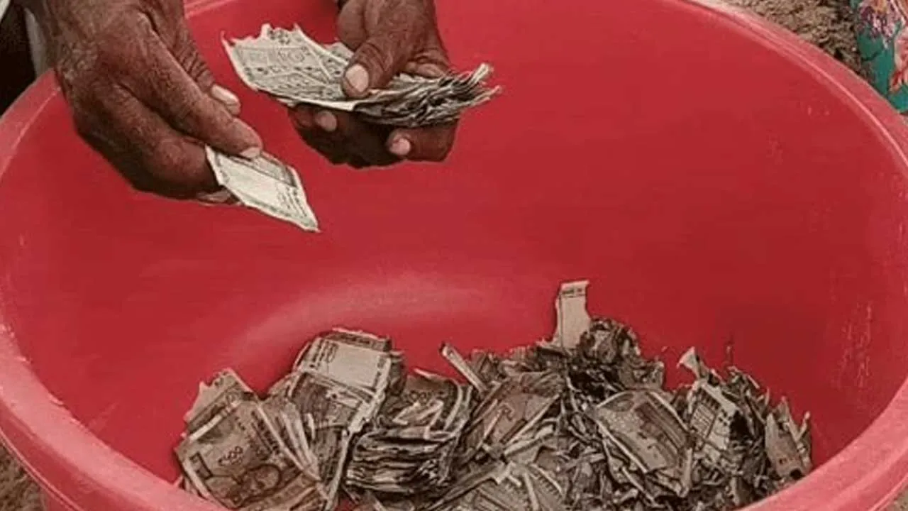 Farmer-5-lakh-Termites2 