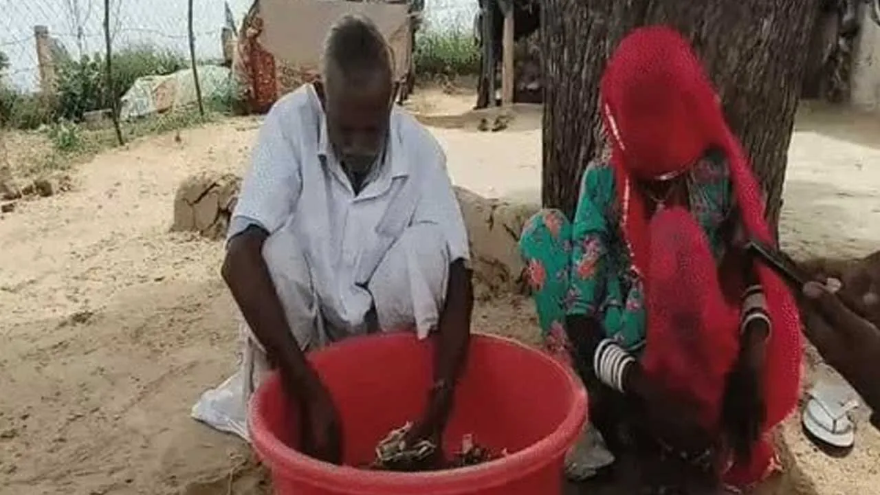 Farmer-5-lakh-Termites3 