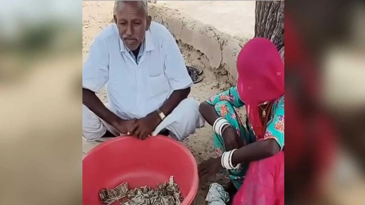 Farmer-5-lakh-Termites4 