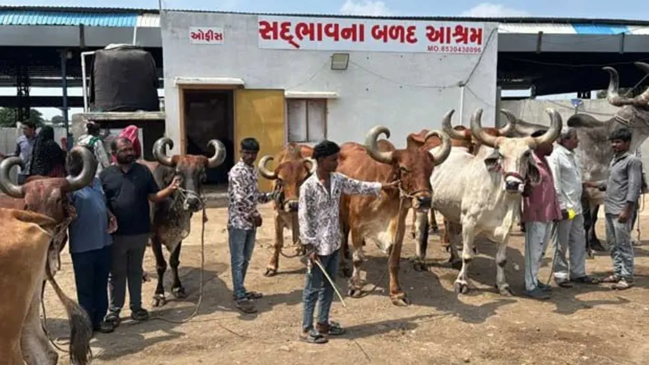 sadbhavna ashram