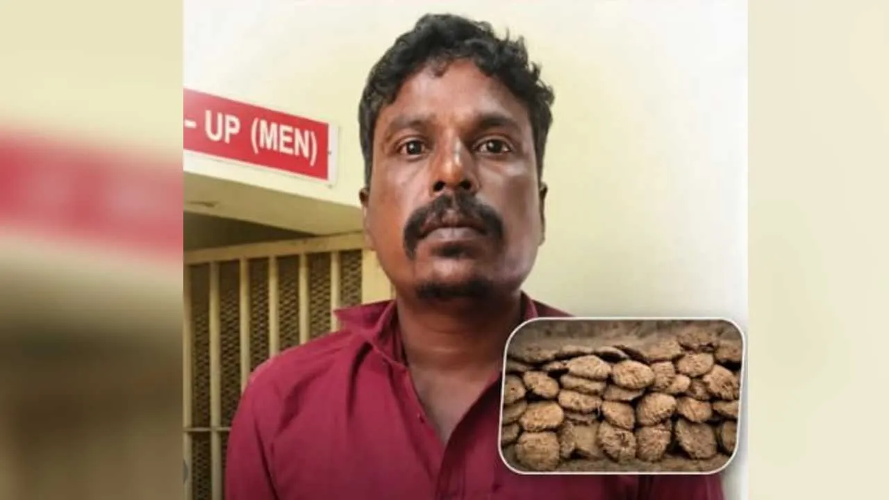 Mix Cow Dung Powder