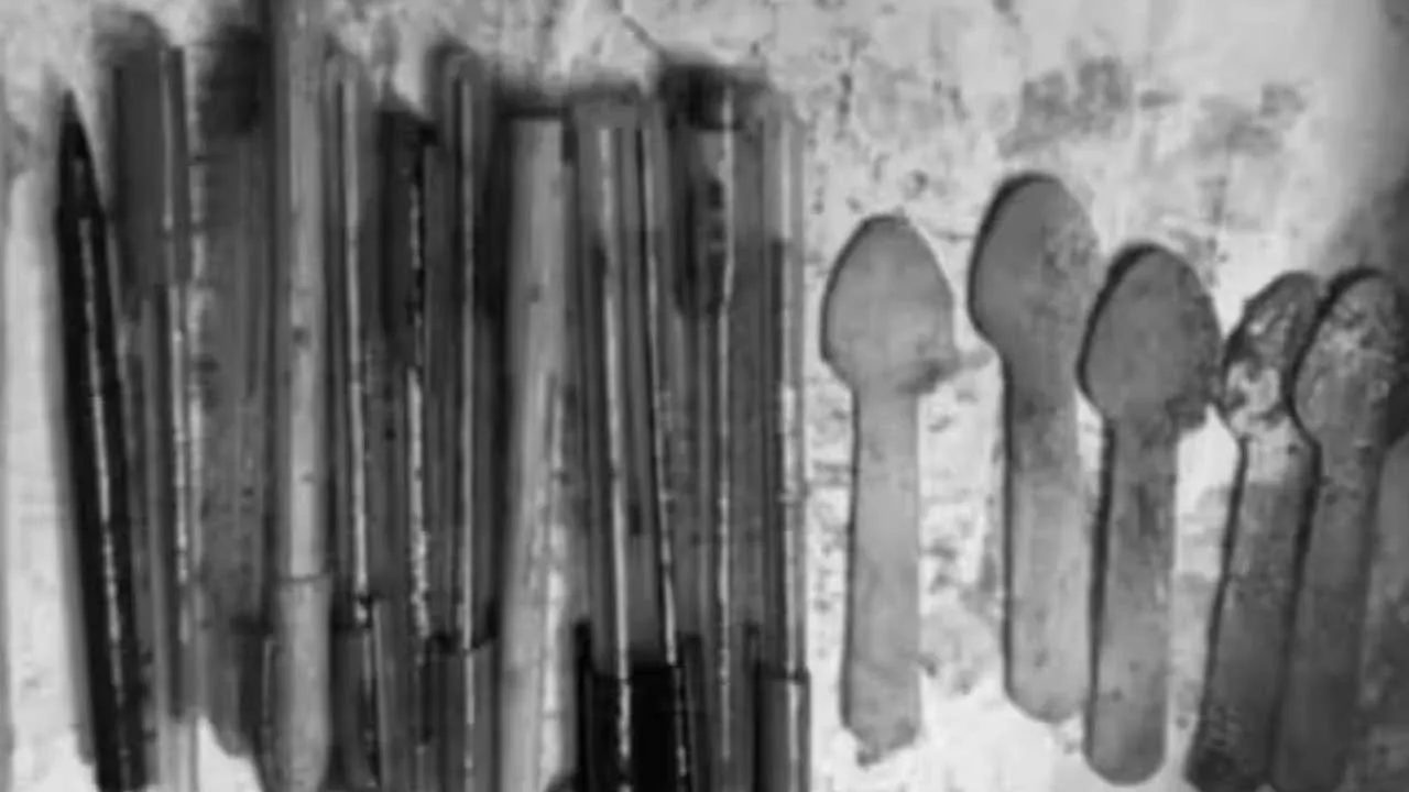 Woman Stomach-Objects