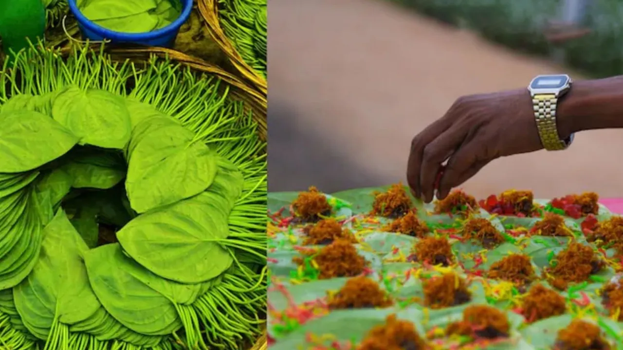 Mast-Banarasi-Paan2 
