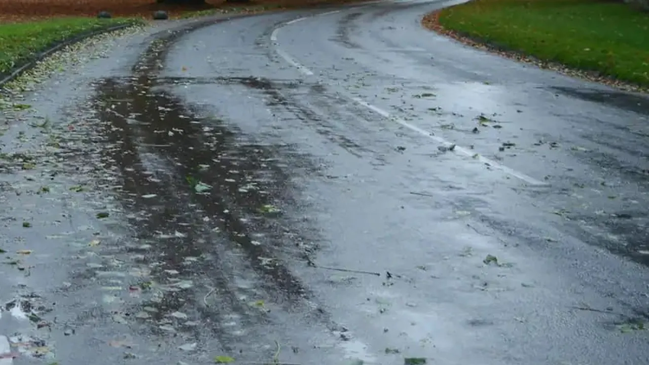 rain 