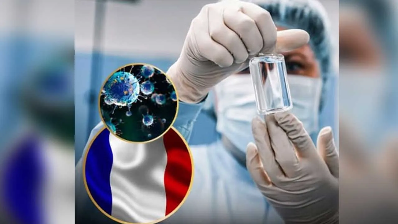 France-Shamonda Virus