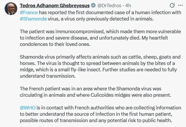 France-Shamonda Virus