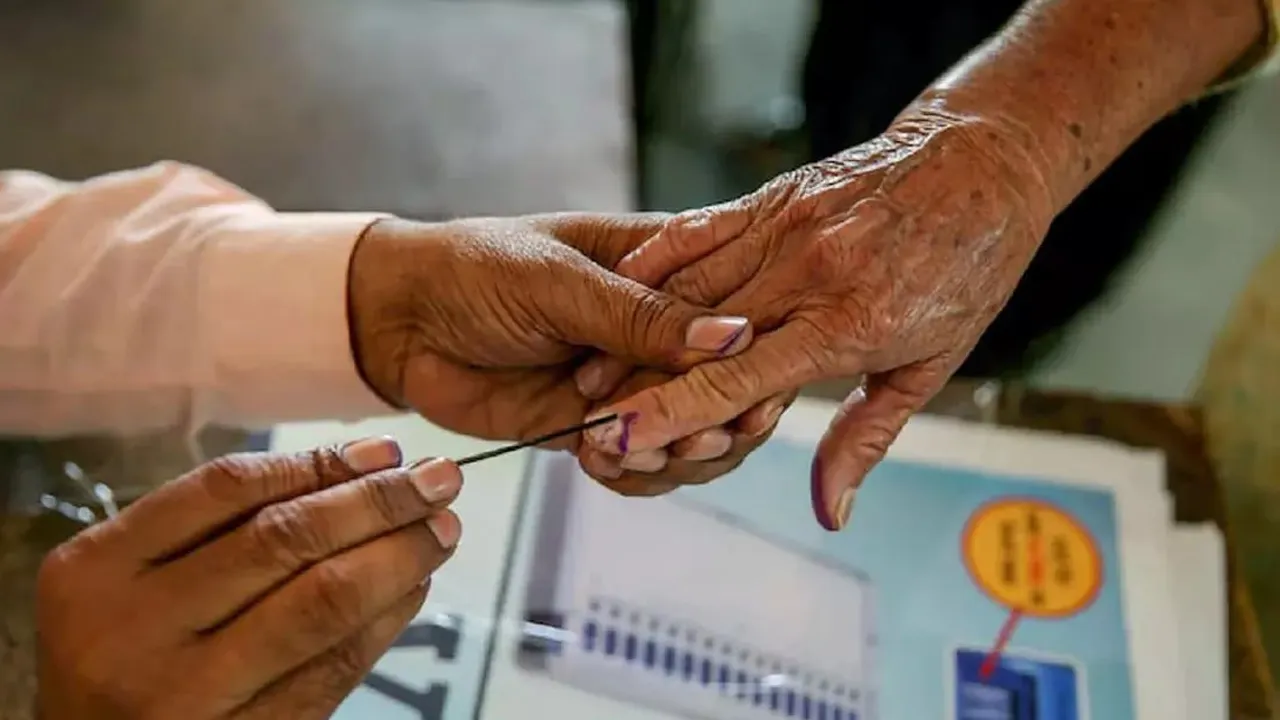 AP-Local-Elections3  