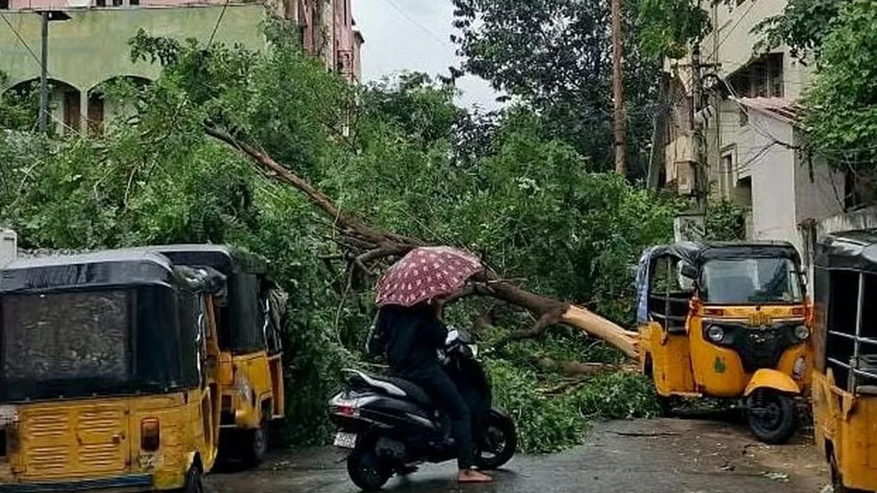 Cyclone-Arnab1 