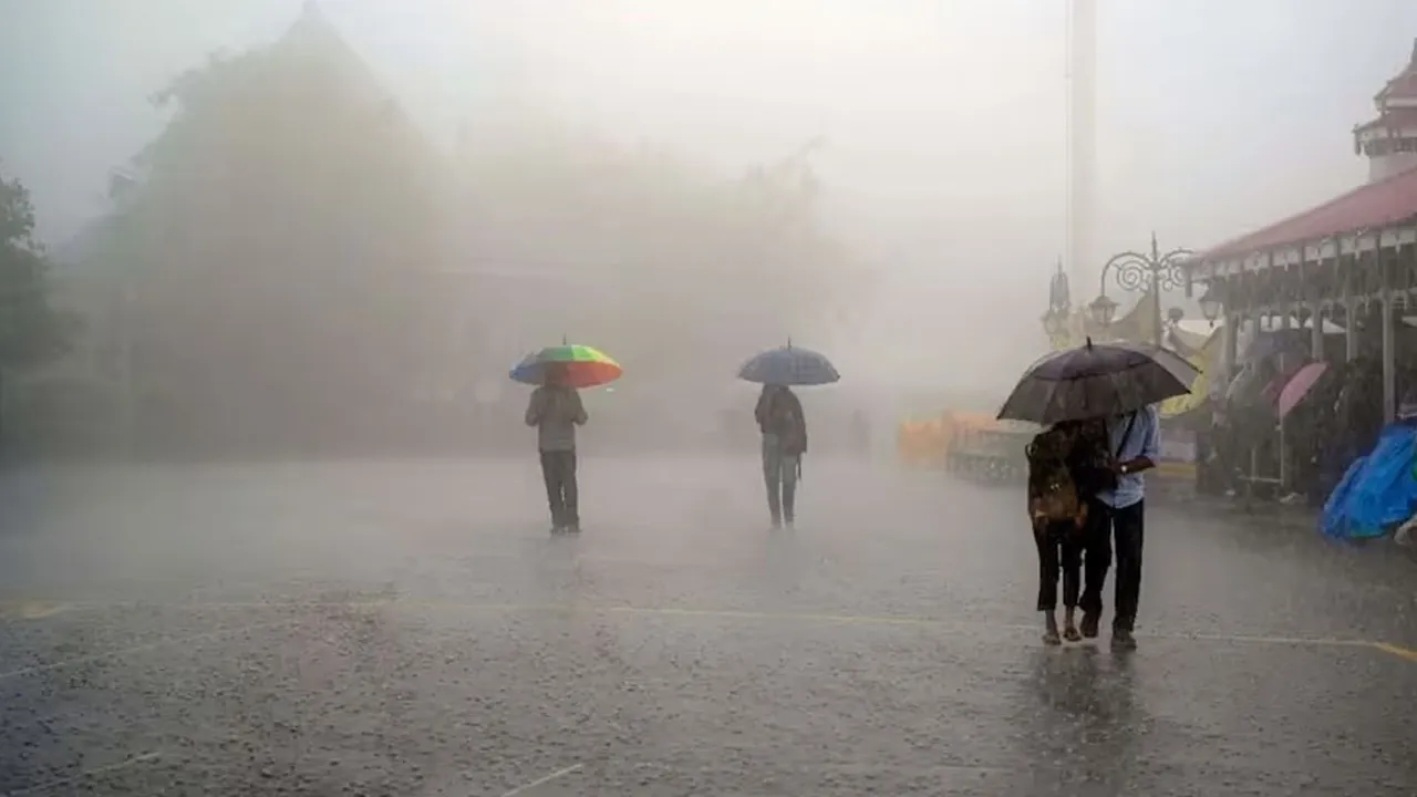 rain2 