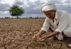 અડધું ગુજરાત વરસાદથી અછતગ્રસ્ત 