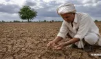 અડધું ગુજરાત વરસાદથી અછતગ્રસ્ત 