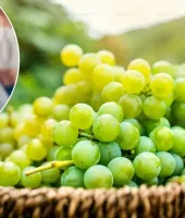 માનવ 150 વર્ષ સુધી જીવી શકશે; ચીની વૈજ્ઞાનિકોએ વૃદ્ધત્વ જલ્દી આવતું અટકાવવા માટે દવા વિકસાવી!