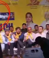 શું ગોપાલને હાથના કરેલા હૈયે વાગી રહ્યા છે?