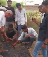 ઝાંસીમાં ગ્રામજનોએ રોડની નબળી ગુણવત્તાવાળા કામને બતાવવા માટે હાથથી ડામરને ઉખાડીને બતાવ્યો!