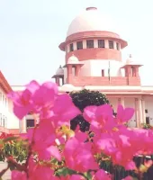 પત્ની છે, નોકરાણી નહીં... રસોઈ બનાવવા, કપડા ધોવામાં પણ મદદ કરો; છૂટાછેડા માંગતા પતિને સુપ્રીમ કોર્ટનો ઠપકો