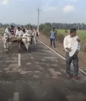 ગાયની અંતિમયાત્રા નીકળી, પરિવારે કહ્યું- 'તે અમારા માટે મા જેવી હતી...' શ્રાદ્ધ પણ કરશે!