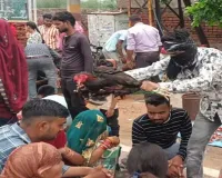 આ તો ગજબ છે! પહેલા મુંડન અને પછી બાળકોની નજર ઉતારાવવા માટે મરઘાનો આશીર્વાદ, ‘કૂવાવાળા મેળા’ની કહાની