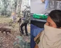 સાળીએ કાનની બુટ્ટી ગીરવે મૂકી બનેવીની જ સોપારી આપી દીધી... રીલ જોઈને બનાવ્યો પ્લાન