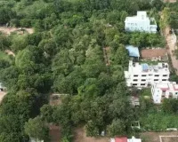 16 વૃક્ષપ્રેમી મિત્રોની કહાની, જેમણે 40 કરોડનો પ્લોટ વૃક્ષો માટે આપી દીધો