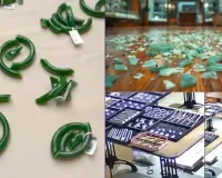 કર્મચારીથી ભૂલથી તૂટી ગઈ ₹1.24 કરોડની બંગડીઓ, પણ માલિકે એવું કર્યું કે તમે કહેશો વાહ