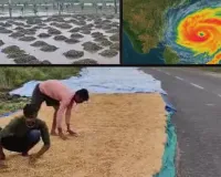 માવઠાએ ખેડૂતોને રડાવ્યા! પાક માટે પૈસા પાણીની જેમ વહાવ્યા, કમોસમી વરસાદે બધુ બરબાદ કરી નાખ્યું