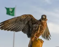 સાઉદી અરબમાં વેચાયું વિશ્વનું સૌથી મોંઘું બાજ, કિંમત જાણીને ચોંકી જશો! આટલામાં તો એક મર્સિડીઝ કાર આવી જાય