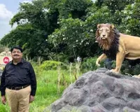 ગીર સફારીમાં સિંહો સાથે વીડિયો શેર કર્યા બાદ પરિમલ નથવાણીએ કહ્યું- 'હું વન્યજીવ પ્રેમી છું, મેં વન વિભાગની...,'