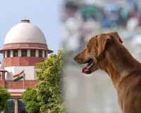 સુપ્રીમ કાર્ટનું રખડતા કૂતરાઓ પર કડક વલણ! રાજ્યોને પૂછ્યું, 'શું તમારા અધિકારીઓ અખબારો નથી વાંચતા?' તમામને સમન્સ મોકલ્યા
