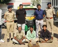 અસલી સોનું બતાવીને નકલી પધરાવતી ગેંગના 3 રાજુલામાં પકડાયા