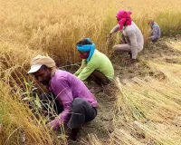 ખેડૂતોને મોટી રાહત: કડી APMC દ્વારા ₹90 લાખની અભૂતપૂર્વ 50% સબસિડી યોજના જાહેર