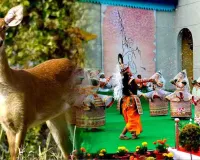 મણિપુરમાં કેમ મનાવવામાં આવે છે સંગાઈ મહોત્સવ? આ વખતે કેમ લોકો વિરોધ કરી રહ્યા છે