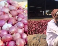 ડુંગળીએ ખેડૂતોને રડાવ્યા, બે રૂપિયે કિલો વેચાઈ રહી છે...', કોંગ્રેસે કહ્યું- બરબાદ કરી દીધા