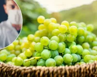 માનવ 150 વર્ષ સુધી જીવી શકશે; ચીની વૈજ્ઞાનિકોએ વૃદ્ધત્વ જલ્દી આવતું અટકાવવા માટે દવા વિકસાવી!