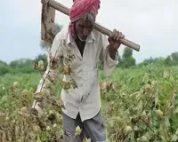 કૃષિ સહાય સાથે વેરા વસૂલાતનો વિવાદ:કાલાવડ TDOને શોકોઝ, DDOની તાત્કાલિક કાર્યવાહી