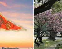 અયોધ્યા રામ મંદિરની ધર્મ ધ્વજા પર અંકિત થયેલું કોવિદારનું વૃક્ષ શું છે, જાણો 